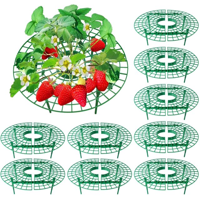 Paquete de 10 soportes para fresas, estantes ajustables para cultivo de fresas, soporte para jardín,, estante para verduras para mantener la fruta elevada para evitar la pudrición del suelo oso de fresa Hogar
