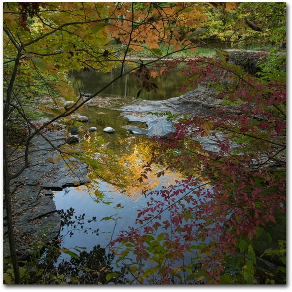 Trademark Fine Art "Why I Love Autumn 3" Canvas Art by Kurt Shaffer