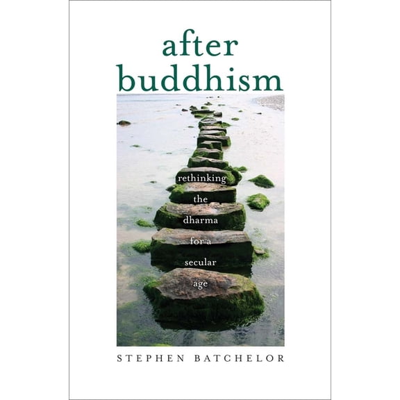 After Buddhism : Rethinking the Dharma for a Secular Age (Hardcover)