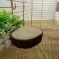 thumbnail image 3 of Ideal Bird Cage, Jumping Platform, Safe Parrots For Guinea Pigs, 3 of 4