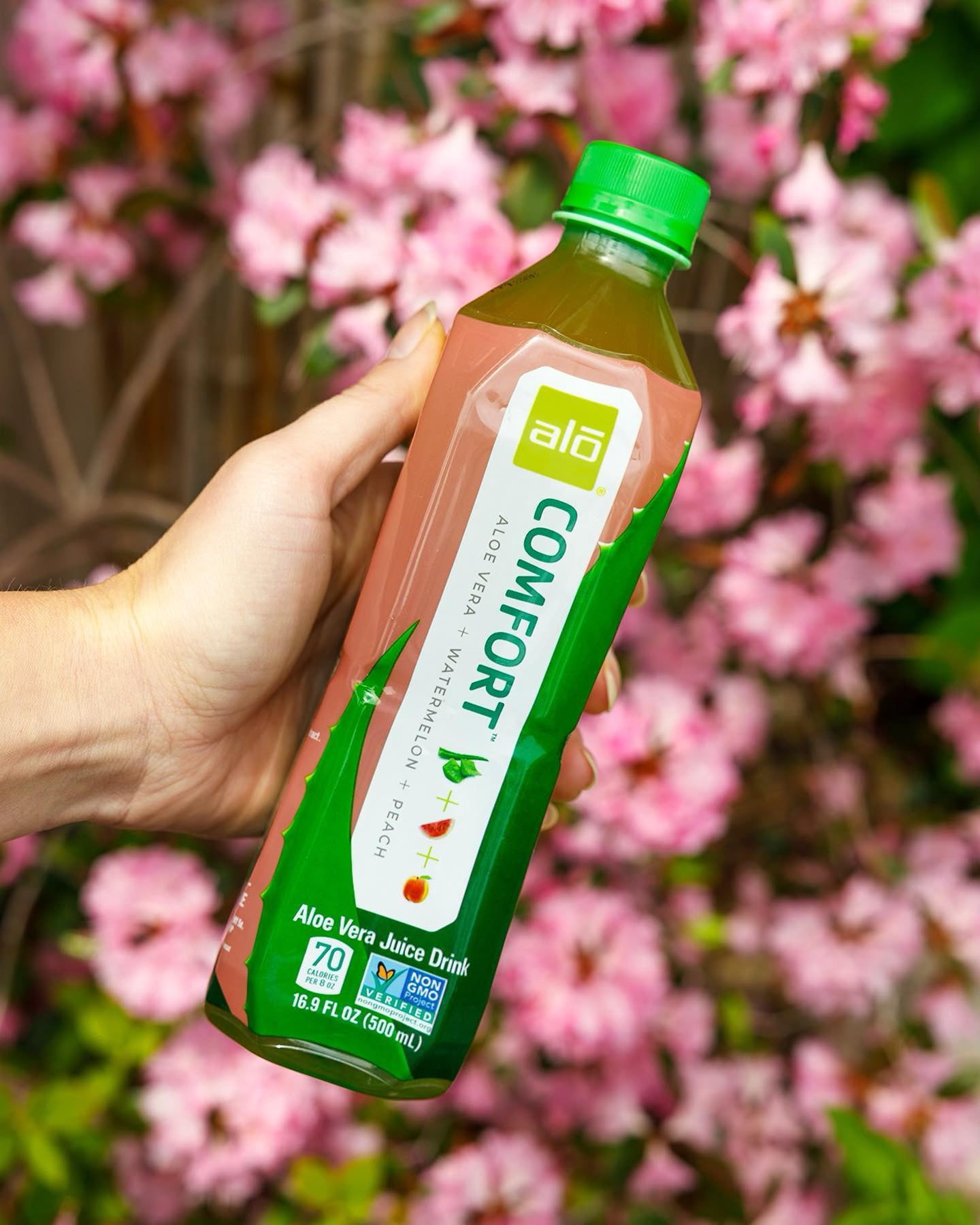 ALO Comfort Aloe Vera Drink, Watermelon Peach, 16.9oz (Pack of 12)