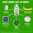 thumbnail image 6 of Orgain Organic Kids 8g Protein Nutritional Shake Drink, 22 Vitamins & Minerals Including A, B, C, and D, Chocolate, 4ct, 6 of 11