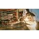 thumbnail image 5 of Ruedas de corte Makita Premier 4-1/2» para metal y acero inoxidable, 5 of 8