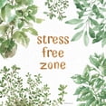 thumbnail image 2 of Grove, Beth 15x15 Black Ornate Wood Framed with Double Matting Museum Art Print Titled - Herb Garden VII Stree Free, 2 of 4