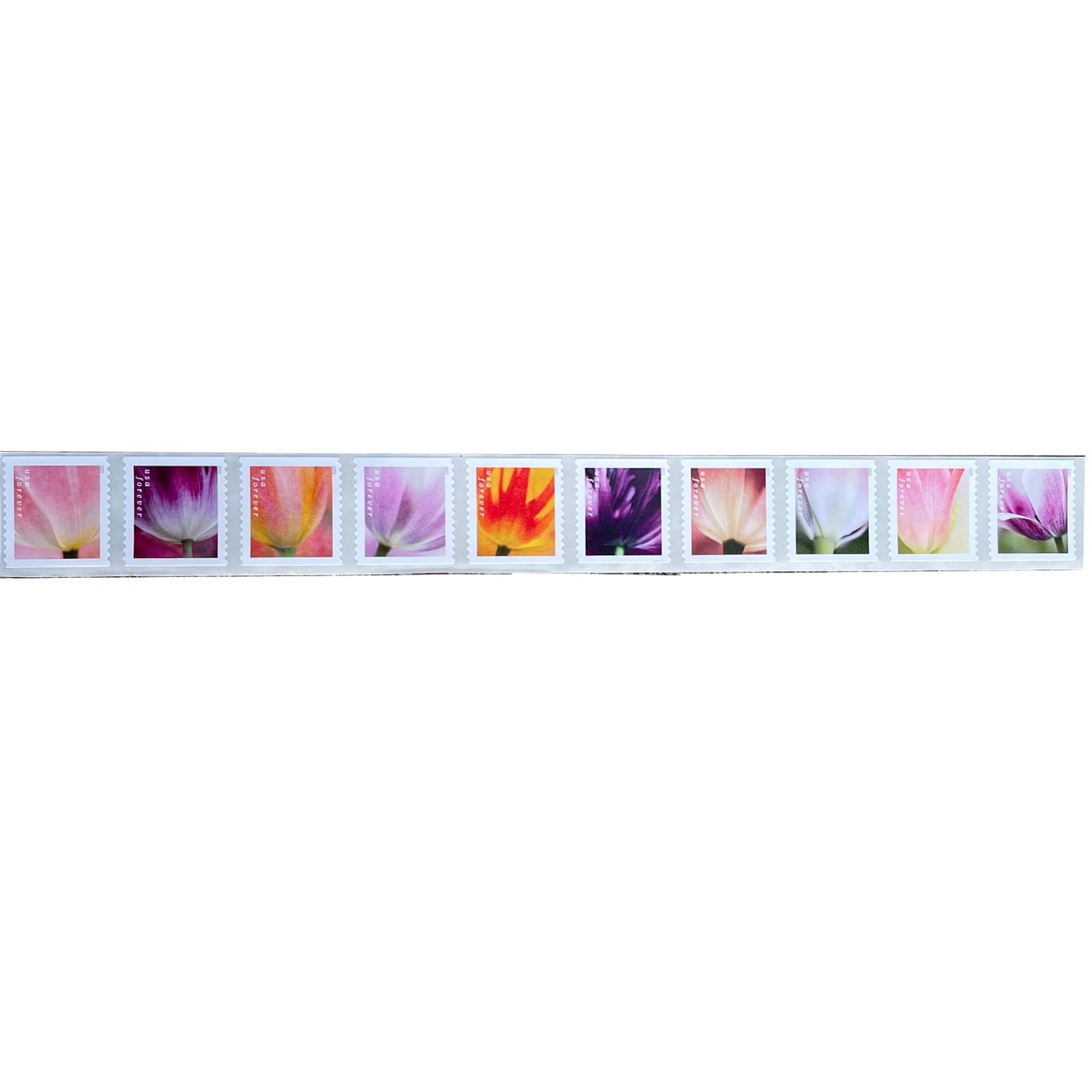 10 Tulip Blossoms USPS Forever Postage Stamp US First Class Flower Spring Wedding Holiday Celebrate Announcement Party (10 Stamps)