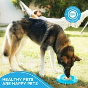 Aquapaw Premium XL Licking Mat with Suction Cups | Dog Must Haves - Non-Slip Slow Feeding Mat for Food, Treats & Peanut Butter | Bathing Supplies - Anxiety Relief & Boredom Reducer | Lick Pad - Blue