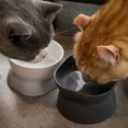 thumbnail image 3 of Cuenco moderno para gatos con forma de pie Cuenco oblicuo para gatos Cuenco para mascotas de gran capacidad Cuenco para perros con protección para el cuello y los pies altos Cuenco doble para beber, 3 of 5