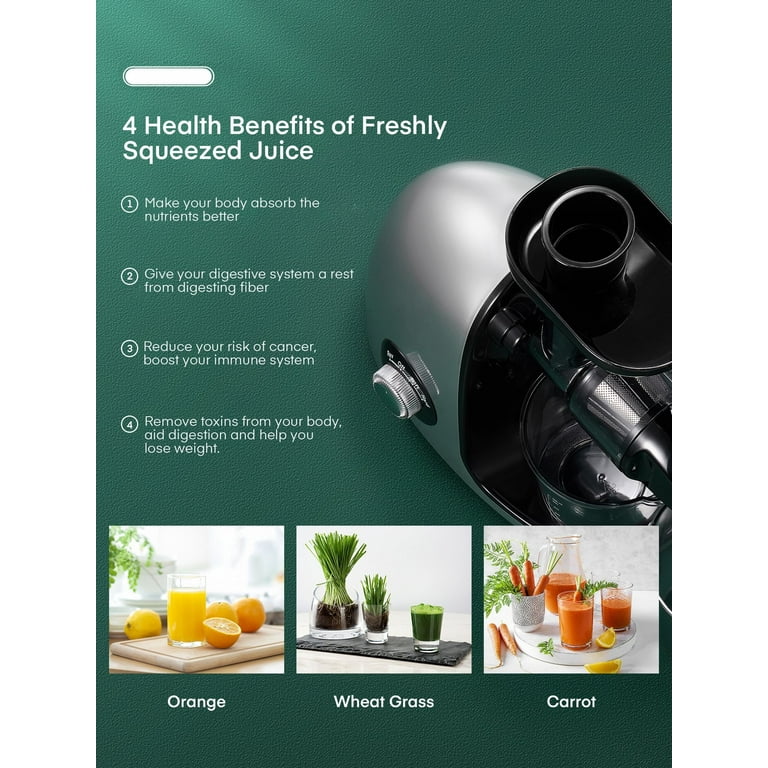 The 8 Best Masticating Juicers of 2024, Tested & Reviewed