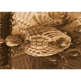 thumbnail image 1 of Ahgly Company Machine Washable Indoor Rectangle Transitional Red Brown Area Rugs, 7' x 9', 1 of 7