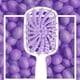 thumbnail image 4 of Wet & Dry Hair Brush Anti Static Hairbrush Great for All Hair Types Long Thick Curly Scalp Massage, 4 of 5