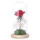thumbnail image 1 of Cadena de luces de cristal con flores secas blancas y musgo verde y flores rosas, 1 of 8
