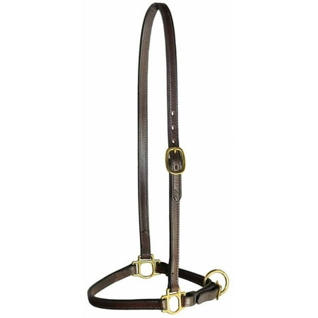 UPC: 0723161169453 | Tory Leather 3/4  Track/Grooming Conversion Halter