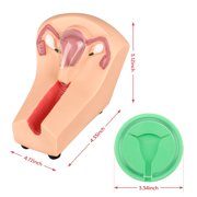 Intrauterine Device Training Kit