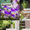 thumbnail image 3 of LCXmlly Fridge Storage Rack Rustproof Plant Stakes Reusable Wide Application Labeling Stand (15Pcs Garden Supplies), 3 of 5