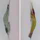 thumbnail image 3 of Señuelo de pesca azul, 1 unidad, 75mm, plástico blando, realista, en la oscuridad, 3 of 5