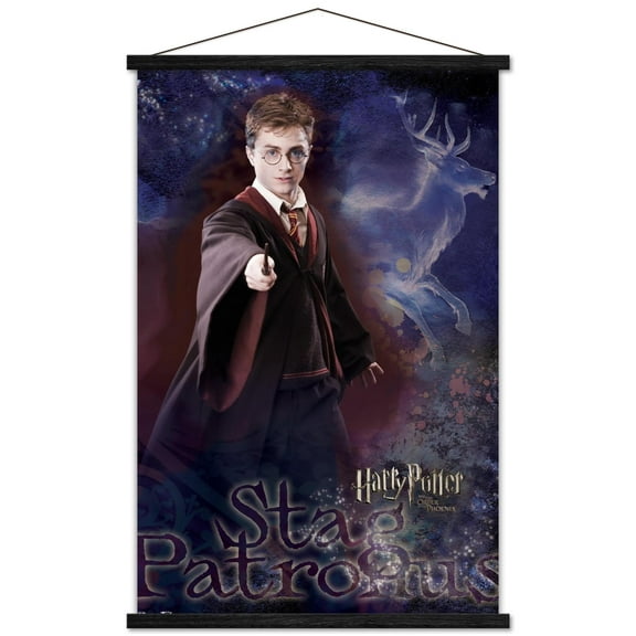 Harry Potter and the Order of the Phoenix - Patronus Wall Poster with Wooden Magnetic Frame, 22.375" x 34"