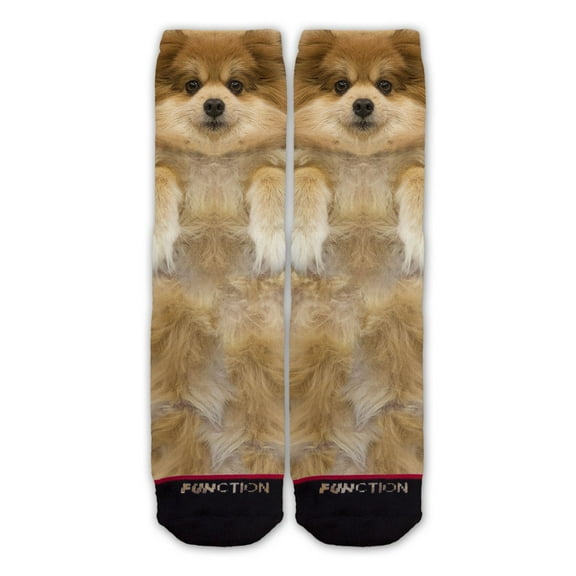 Function - Pomeranian Dog Fashion Sock