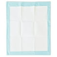 thumbnail image 2 of Great Value Training Pads, XL 150 Pads, 2 of 4