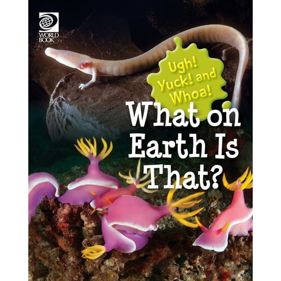 What on Earth Is That?