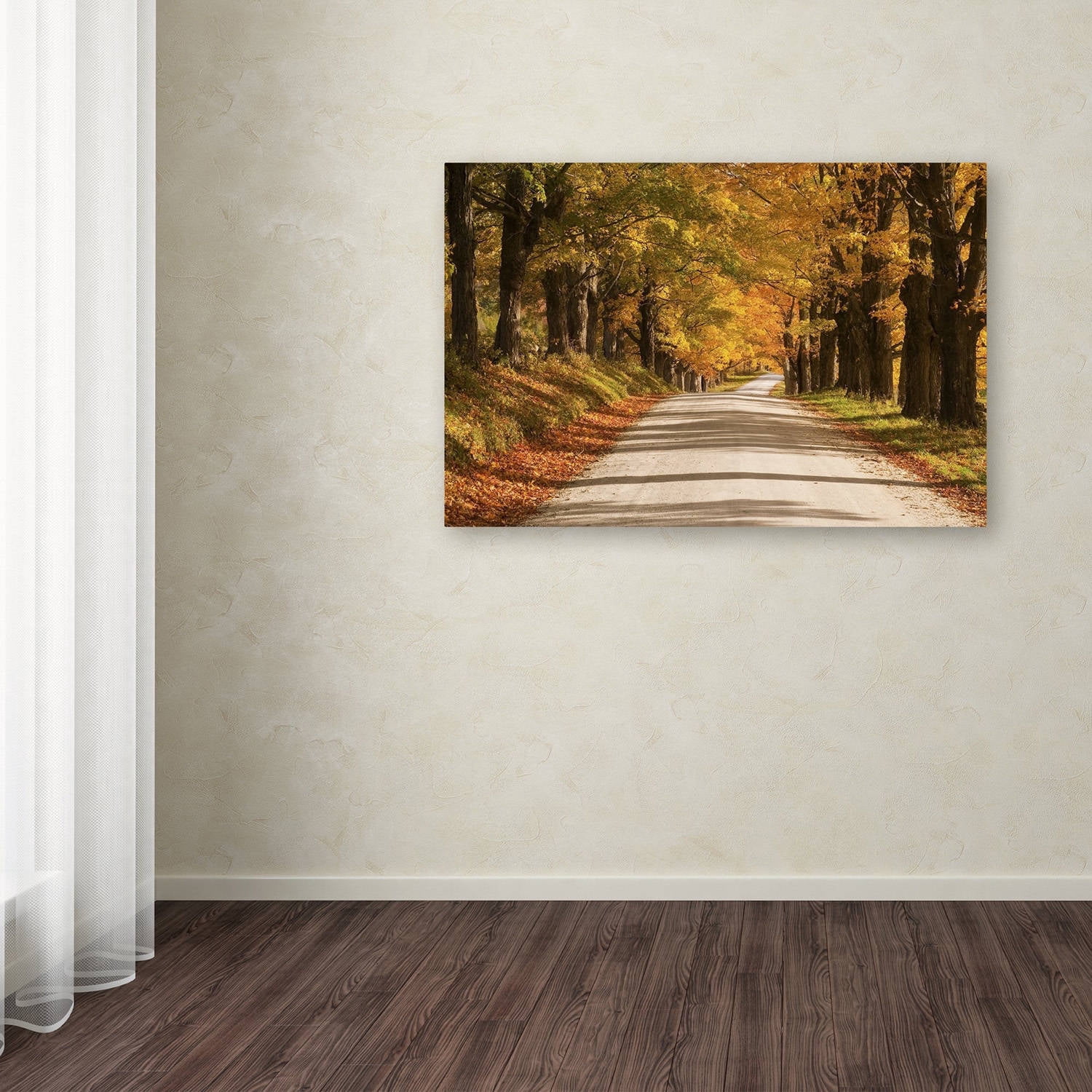 Trademark Fine Art 'Maple Canopy' Canvas Art by Michael Blanchette Photography