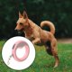 thumbnail image 5 of Correa Retráctil Automática Para Perros, Extensible, Con Bloqueo De Escape, Para Perros Pequeños Y Medianos, Como Caniches Y Cachorros, 5 of 5