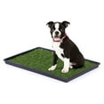 thumbnail image 5 of Prevue Pet Products Tinkle Turf, 5 of 9