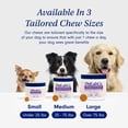thumbnail image 3 of Probióticos para perros PetLab Co. Allergy & Immune 30 Chews para perros pequeños, 3 of 8