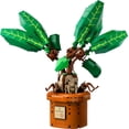 thumbnail image 4 of Set LEGO Harry Potter Tm Mandrágora 76433, 4 of 5
