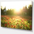 thumbnail image 2 of Poppy Field under Bright Sunlight - Large Landscape Canvas Art Print, 2 of 4