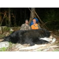 thumbnail image 4 of Licorice Bear Slop par Rack Stacker, 4 of 7