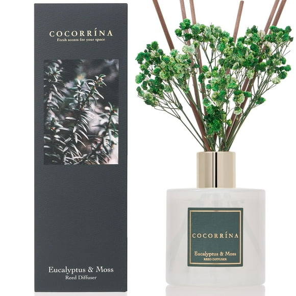 Set difusor Reed Cocorrína con aroma a eucalipto y musgo, 200 ml