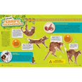 thumbnail image 3 of Cat Science Unleashed (National Geographic Kids), 3 of 5