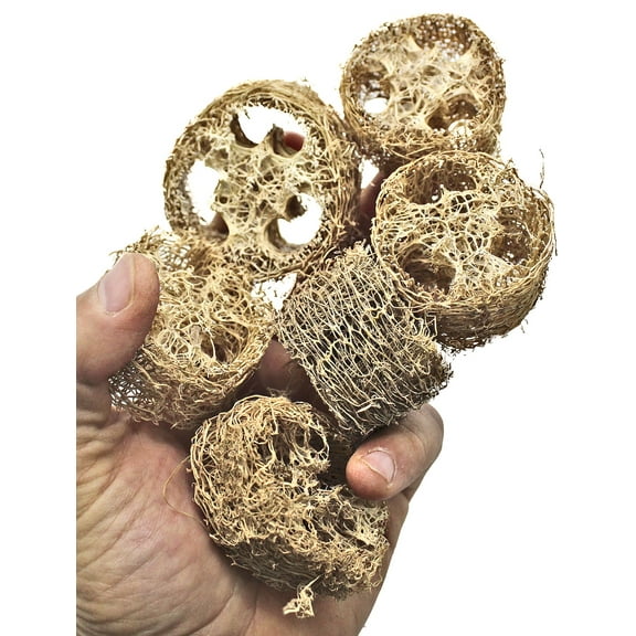 3404 pk6 Small Luffa Slices Chew Foot Talon Bird Toys