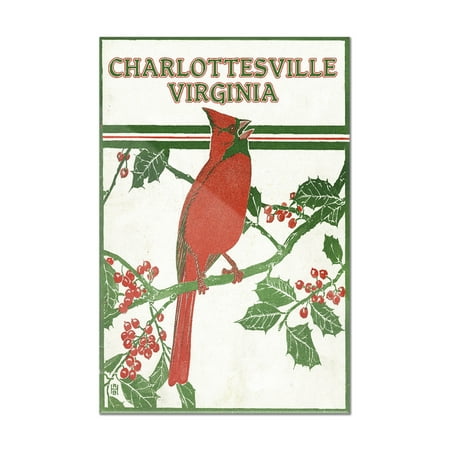 Manzanita Perch Multi Branch - Charlottesville, Virginia - Cardinal Perched on a Holly Branch (8x12 Acrylic Wall Art Gallery Quality)
