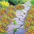 thumbnail image 4 of UV Resistant Artificial Spring Flowers Fake Greenery Faux Silk Wildflowers for Home Planter Porch Garden Outdoor Decor 24 Bundles, 4 of 5