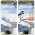 thumbnail image 4 of Descongelador para bebederos de pájaros de exterior con control termostático y apagado automático, para agua potable de aves, 4 of 5
