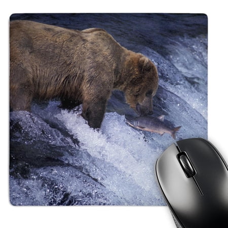 3dRose  Alaska  Katmai NP  Brooks Falls  Brown Bear - US02 PSO0550 - Paul Souders  MousePad price history on PriceWatchPro