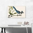 thumbnail image 2 of ARTCANVAS Crested Jay Canvas Art Print by Mark Catesby - Size: 26" x 18" (1.50" Deep), 2 of 9