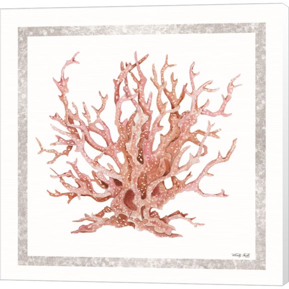 Great Art Now Pink Coastal Coral I by Cindy Jacobs, Canvas Wall Art, 12W x 12H