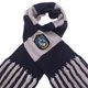 thumbnail image 2 of Bufanda Larga De Anime Bufanda larga de anime, bufanda suave a rayas, accesorios de ropa para regalos (azul), 2 of 6