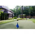 thumbnail image 1 of Trylawnturf Putting Green Max artificial turf - 6ft-x15-ft, 1 of 1