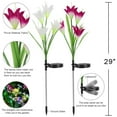 thumbnail image 2 of Rirool Solar Garden Lights Outdoor, Waterproof Lily Flower Landscape Lights with Color Changing LED, Solar Powered Yard Patio Lawn Decor, 2 Pack, 2 of 8