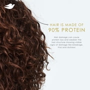 Dove Conditioner for Dry Hair Coconut & Hydration with Bio-Protein Care Technology and Coconut Oil, 18 Fl Oz