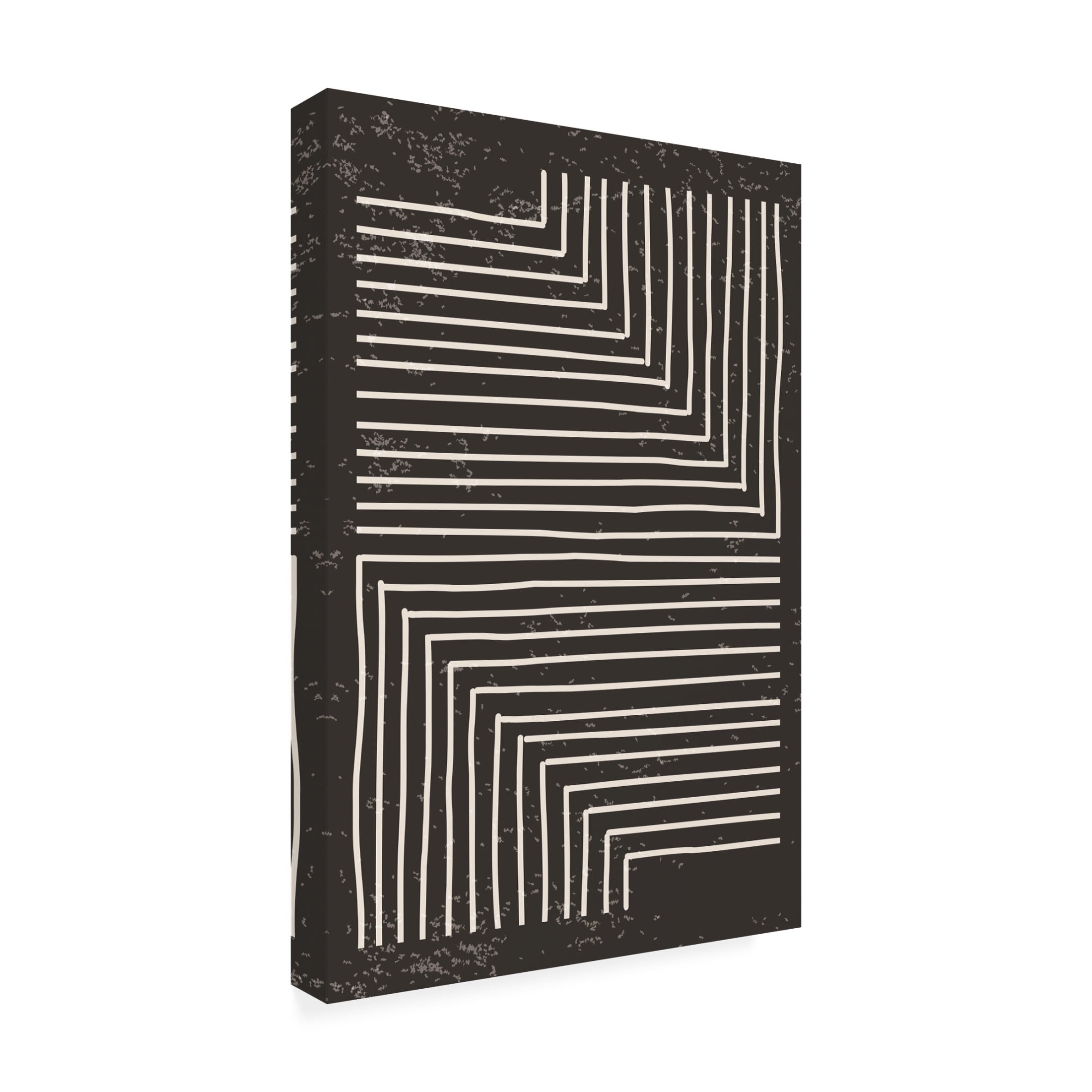 Trademark Fine Art jay stanley  Black and White Line 2 Canvas Wall Art