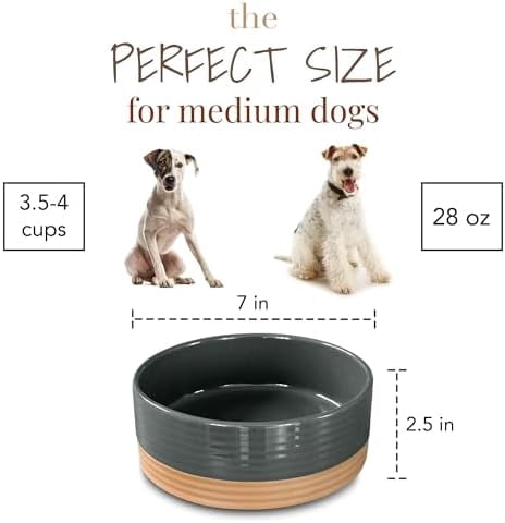Ceramic Pet Bowl Size Medium - Food/Water Dish for Large Puppies, Cats, Retrievers, Medium Sized Dogs, ect. 28oz or 4 Cups - Basic Bowls for Your Dog or Cat, Mix and Match for a Set - Charcoal