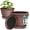 Copper, variant on 10-Inch Whiskey Barrel Planters Outdoor Pack of 2 - Durable Plastic Plant Pots for Indoor & Outdoor Use with Drainage & Saucer, Lightweight Rustic Barrel Planters for Flowers, Herbs & Small Plants