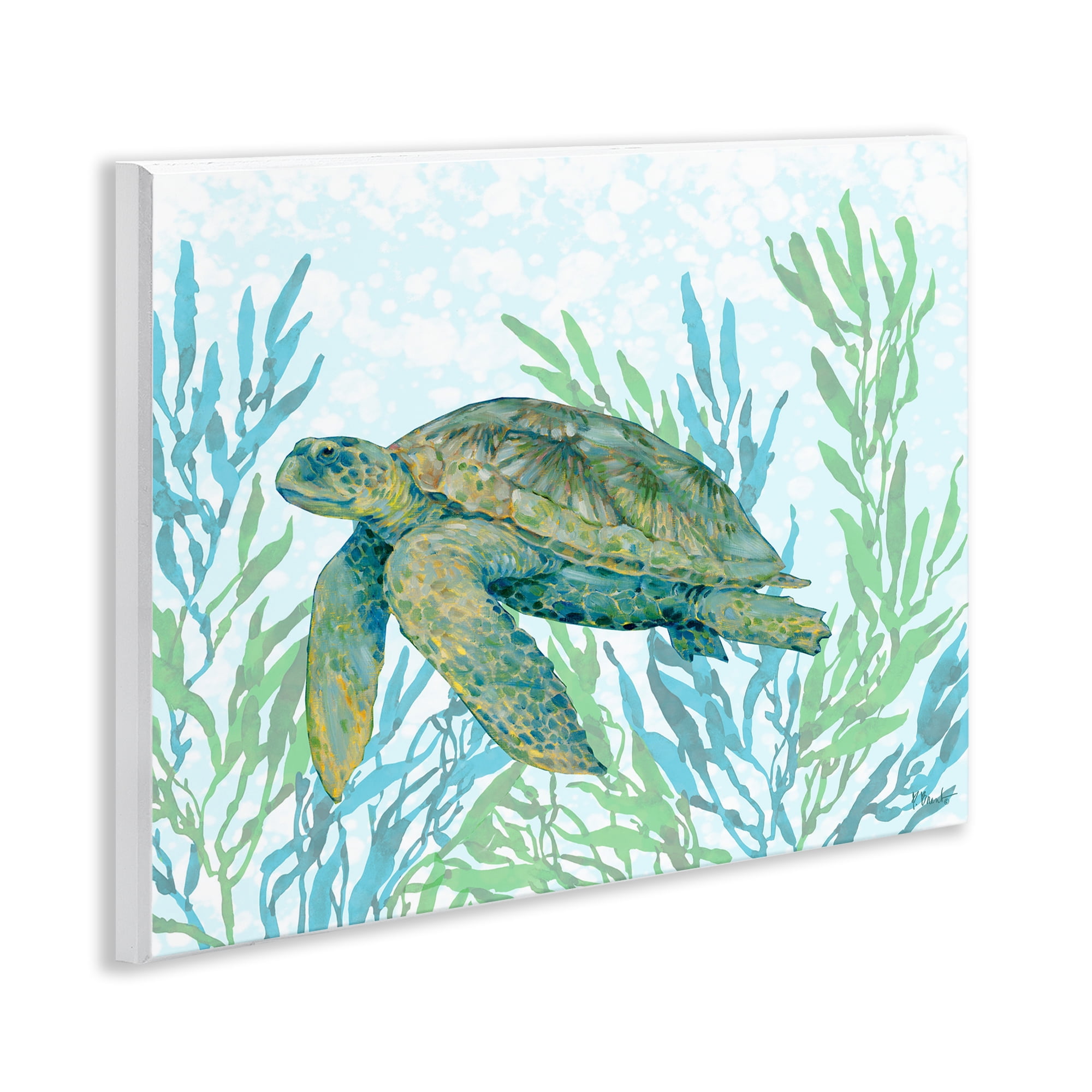 Stupell Industries Tasman Turtle in Seagrass Wall Plaque Art, design by Paul Brent