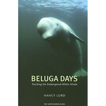 Beluga Days : Tales of an Endangered White Whale