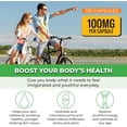 thumbnail image 4 of Forest Leaf Hyaluronic Acid Supplement for Joint Support and Anti Aging, 120 Vegetable Capsules, 4 of 8