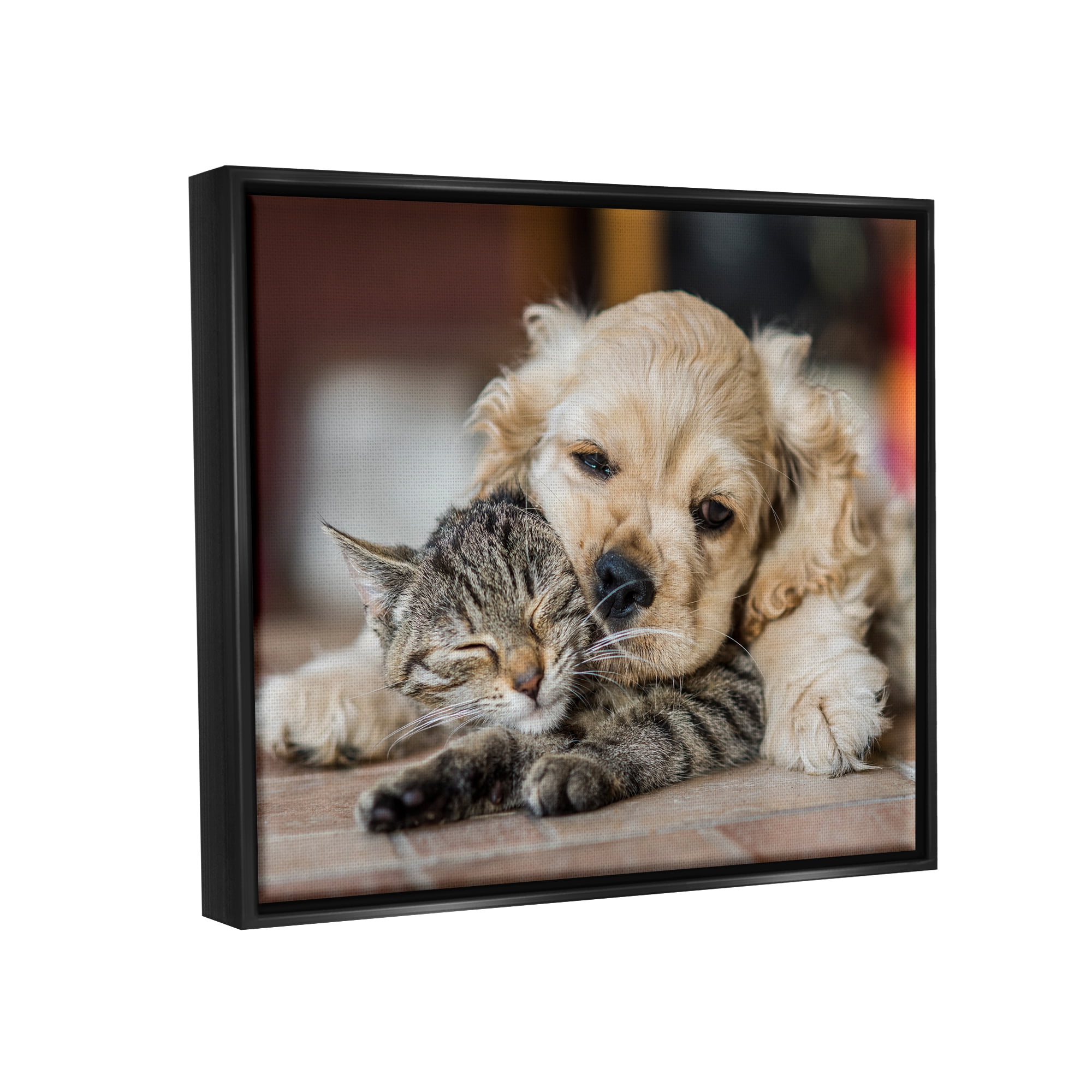 Stupell Industries Cat & Puppy Cuddling Animals & Insects Photography Black Floater Framed Canvas Art Print Wall Art, 31 x 25